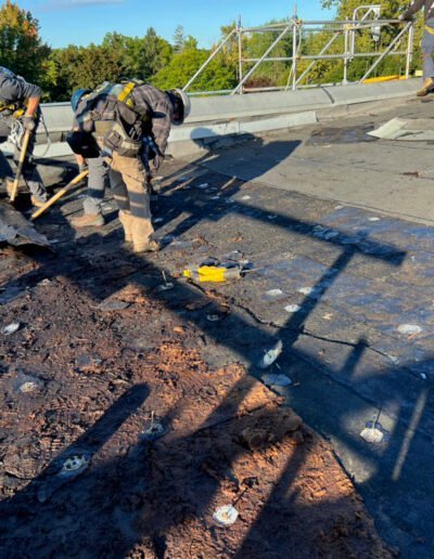 Flat Roofing Project