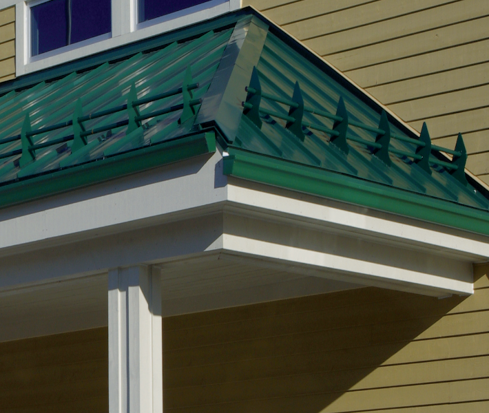 Vic West Snow Guard Bars