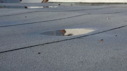 Eco-Friendly Roofing